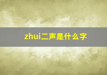 zhui二声是什么字