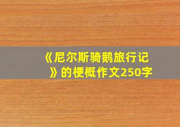 《尼尔斯骑鹅旅行记》的梗概作文250字