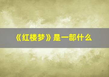 《红楼梦》是一部什么