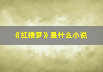 《红楼梦》是什么小说