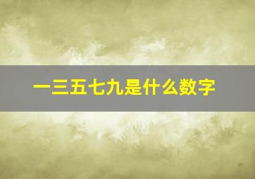 一三五七九是什么数字