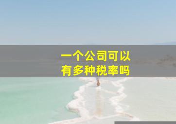 一个公司可以有多种税率吗