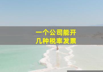 一个公司能开几种税率发票