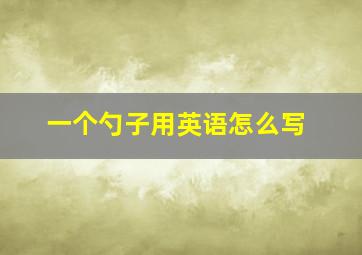 一个勺子用英语怎么写