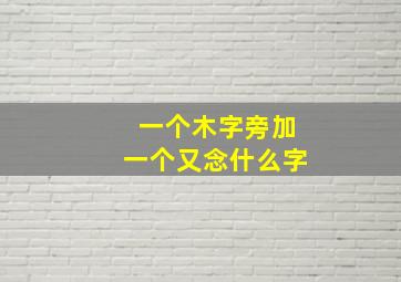 一个木字旁加一个又念什么字