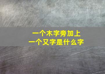 一个木字旁加上一个又字是什么字