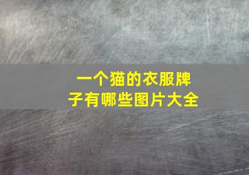 一个猫的衣服牌子有哪些图片大全