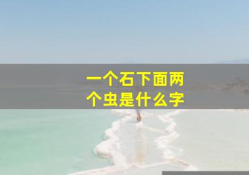 一个石下面两个虫是什么字