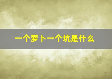 一个萝卜一个坑是什么