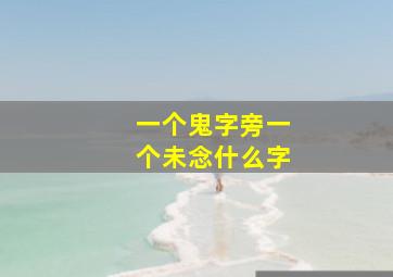 一个鬼字旁一个未念什么字