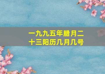 一九九五年腊月二十三阳历几月几号