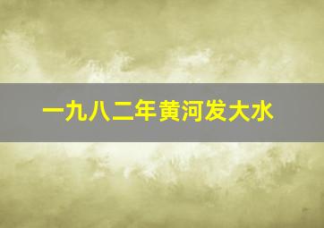 一九八二年黄河发大水