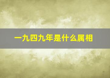 一九四九年是什么属相