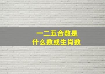 一二五合数是什么数或生肖数