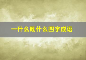 一什么既什么四字成语