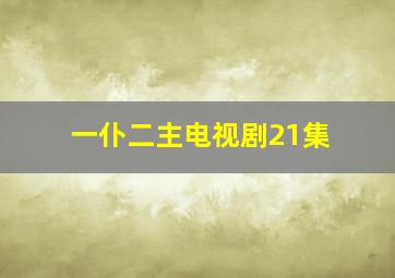 一仆二主电视剧21集