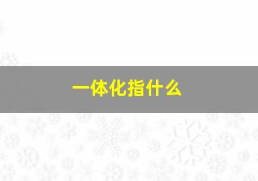 一体化指什么