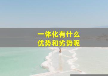 一体化有什么优势和劣势呢