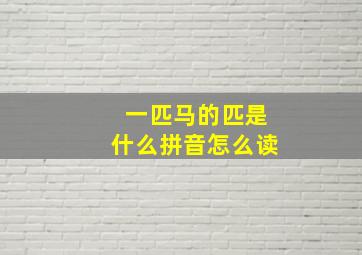 一匹马的匹是什么拼音怎么读