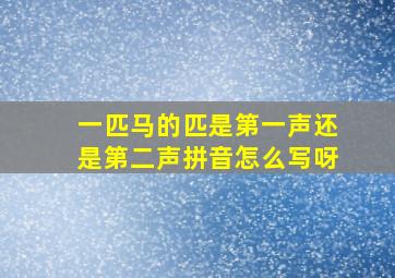 一匹马的匹是第一声还是第二声拼音怎么写呀