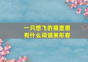 一只想飞的猫里面有什么词语来形容