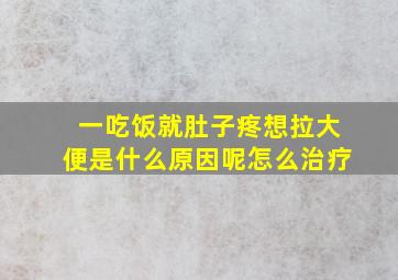 一吃饭就肚子疼想拉大便是什么原因呢怎么治疗