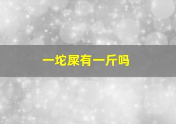 一坨屎有一斤吗