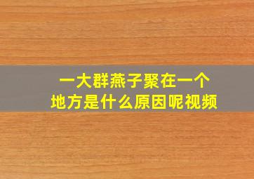 一大群燕子聚在一个地方是什么原因呢视频