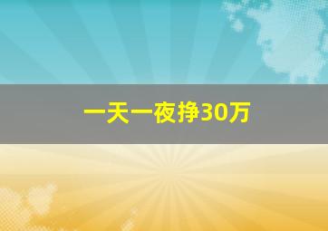 一天一夜挣30万