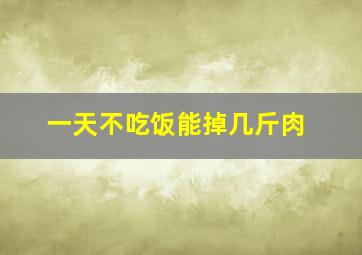 一天不吃饭能掉几斤肉