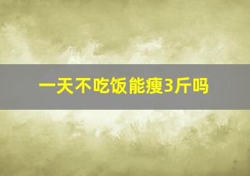 一天不吃饭能瘦3斤吗