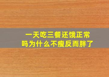 一天吃三餐还饿正常吗为什么不瘦反而胖了