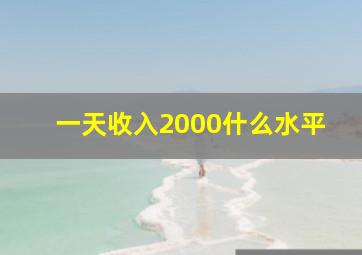 一天收入2000什么水平