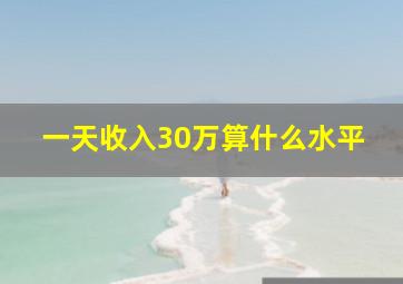 一天收入30万算什么水平