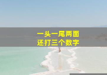 一头一尾两面还打三个数字