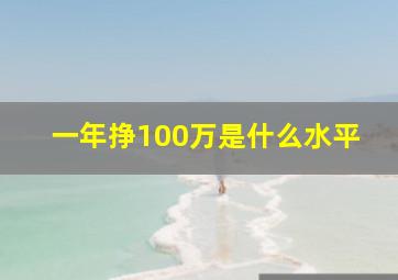 一年挣100万是什么水平