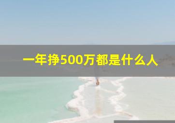 一年挣500万都是什么人