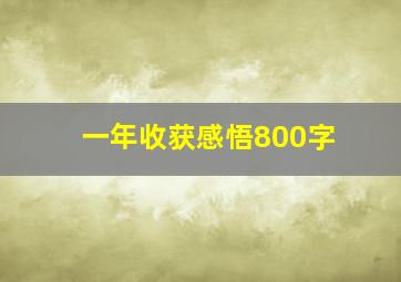 一年收获感悟800字