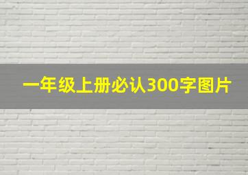 一年级上册必认300字图片