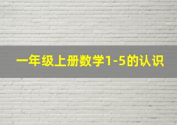 一年级上册数学1-5的认识