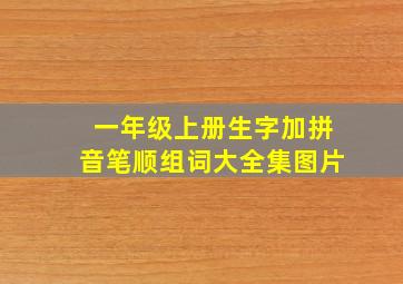 一年级上册生字加拼音笔顺组词大全集图片