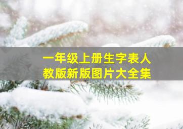 一年级上册生字表人教版新版图片大全集