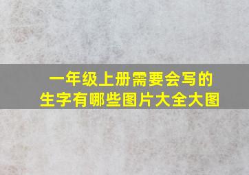 一年级上册需要会写的生字有哪些图片大全大图