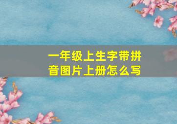 一年级上生字带拼音图片上册怎么写