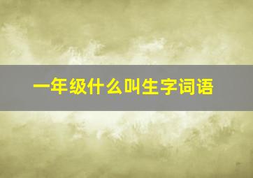 一年级什么叫生字词语