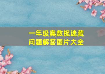 一年级奥数捉迷藏问题解答图片大全