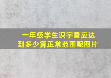 一年级学生识字量应达到多少算正常范围呢图片