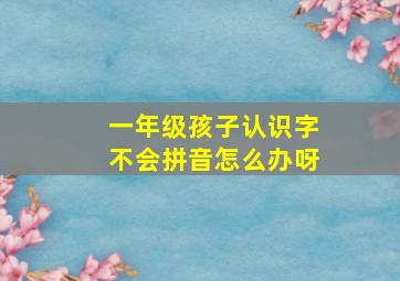 一年级孩子认识字不会拼音怎么办呀