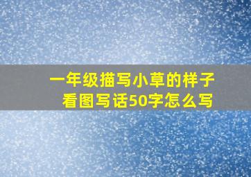 一年级描写小草的样子看图写话50字怎么写