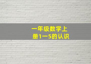 一年级数学上册1一5的认识